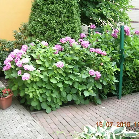 Apartament Staromłyńska *